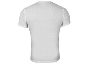 Мужская футболка Calvin Klein SS/S CREW NECK WHITE NM1129E 100 30300 цена и информация | Мужские футболки | pigu.lt