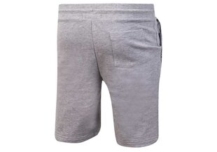 Короткие мужские шорты Tommy Hilfiger SHORT HWK GRAY UM0UM00707 004 30220 цена и информация | Мужские шорты | pigu.lt