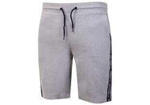 Короткие мужские шорты Tommy Hilfiger SHORT HWK GRAY UM0UM00707 004 30220 цена и информация | Мужские шорты | pigu.lt