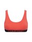 Moteriška sportinė liemenėlė Calvin Klein BE pamušalo BRALETTE KORALOWY 000QF6576E XKP 29815 kaina ir informacija | Liemenėlės | pigu.lt