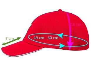 Vyriška kepurė GUESS TRIANGLE LOGO CAP RED M1YZ57WBN60 G532 35642 kaina ir informacija | Vyriški šalikai, kepurės, pirštinės | pigu.lt