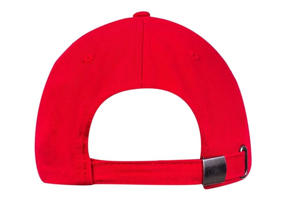 Vyriška kepurė GUESS TRIANGLE LOGO CAP RED M1YZ57WBN60 G532 35642 kaina ir informacija | Vyriški šalikai, kepurės, pirštinės | pigu.lt