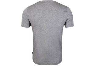 Marškinėliai vyrams Puma 58690803, pilki kaina ir informacija | Vyriški marškinėliai | pigu.lt