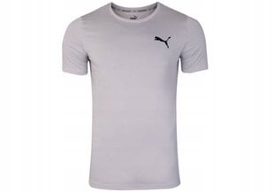 Мужская футболка Puma ACTIVE SMALL LOGO TEE, серая 586725 09 38138 цена и информация | Футболка мужская | pigu.lt