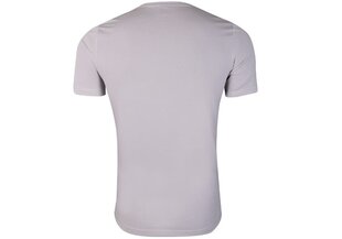Vyriški marškinėliai Puma ACTIVE SMALL LOGO TEE, pilki 586725 09 38138 kaina ir informacija | Vyriški marškinėliai | pigu.lt