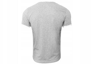 Vyriški marškinėliai Tommy Hilfiger kaina ir informacija | Vyriški marškinėliai | pigu.lt