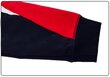 Vyriškos sportinės kelnės Tommy Hilfiger BLOCKED, tamsiai mėlynos, MW0MW19759 DW5 38924 L kaina ir informacija | Sportinė apranga vyrams | pigu.lt