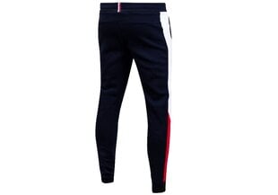 Мужские спортивные штаны Tommy Hilfiger BLOCKED, темно-синие MW0MW19759 DW5 38924 цена и информация | Мужская спортивная одежда | pigu.lt