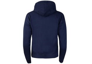 Женская толстовка Tommy Hilfiger TJW TOMMY CENTER BADGE HOODIE TJW DW0DW10403 C87 39063 цена и информация | Свитера женские | pigu.lt