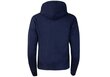 Moteriškas bluzonas Tommy Hilfiger TJW TOMMY CENTER BADGE HOODIE TJW DW0DW10403 C87 39063 L цена и информация | Megztiniai moterims | pigu.lt