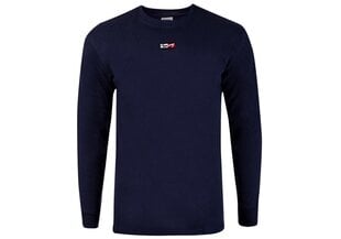 Vyriški marškinėliai Tommy Hilfiger TJM TOMMY SCRIPT TEE, tamsiai mėlyni DM0DM11603 C87 39082 kaina ir informacija | Vyriški marškinėliai | pigu.lt