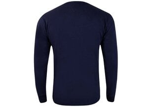 Мужская футболка Tommy Hilfiger TJM TINY TOMMY SCRIPT TEE, темно-синяя DM0DM11603 C87 39082 цена и информация | Мужские футболки | pigu.lt
