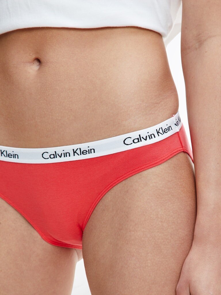 Klasikinės moteriškos kelnaitės Calvin Klein, raudonos 0000D1618E XKW 38472 цена и информация | Kelnaitės | pigu.lt