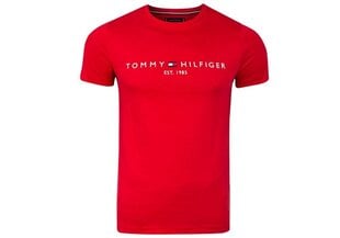 Мужская футболка-поло Tommy Hilfiger DM0DM05218 72708 цена и информация | Мужские футболки | pigu.lt