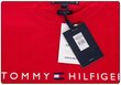 Marškinėliai vyrams Tommy Hilfiger kaina ir informacija | Vyriški marškinėliai | pigu.lt