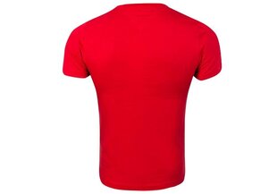 Мужская футболка-поло Tommy Hilfiger DM0DM05218 72708 цена и информация | Мужские футболки | pigu.lt