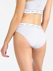 Женские трусики Guess CARRIE BRIEF, серые O97E02JR04P H905 40024 цена и информация | Трусики | pigu.lt