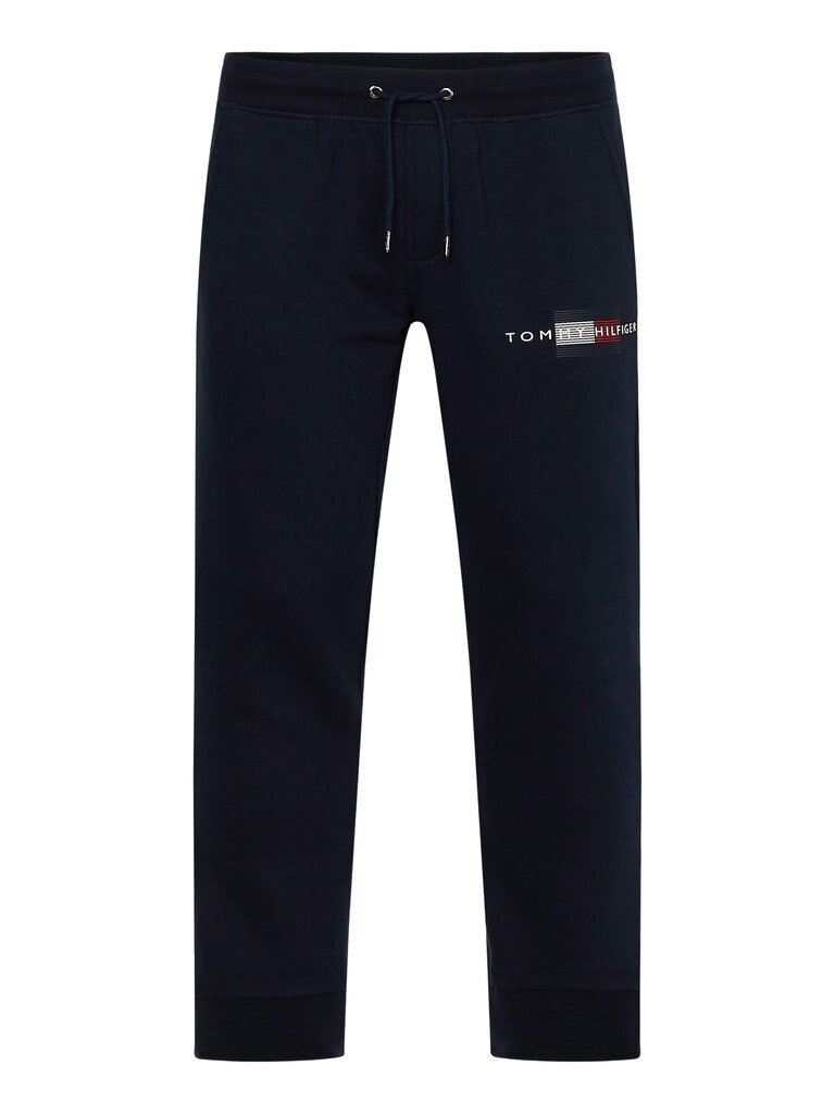 Vyriškos sportinės kelnės Tommy Hilfiger LINES HILFIGER SWEATPANT, tamsiai mėlynos MW0MW20953 DW5 40746 L kaina ir informacija | Sportinė apranga vyrams | pigu.lt