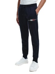 Мужские спортивные штаны Tommy Hilfiger LINES HILFIGER SWEATPANT, темно-синие MW0MW20953 DW5 40746 цена и информация | Мужская спортивная одежда | pigu.lt