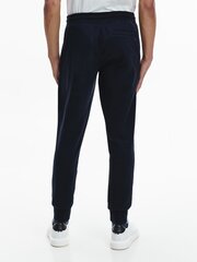 Мужские спортивные штаны Tommy Hilfiger LINES HILFIGER SWEATPANT, темно-синие MW0MW20953 DW5 40746 цена и информация | Мужская спортивная одежда | pigu.lt