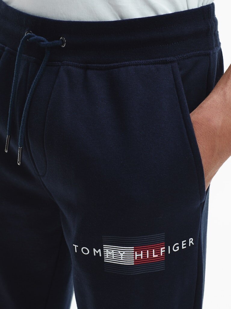 Vyriškos sportinės kelnės Tommy Hilfiger LINES HILFIGER SWEATPANT, tamsiai mėlynos MW0MW20953 DW5 40746 L kaina ir informacija | Sportinė apranga vyrams | pigu.lt
