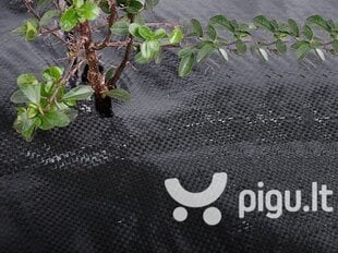 Agroplėvelė nuo piktžolių 1.1x10 m, 70 g/m2, juoda цена и информация | Садовые инструменты | pigu.lt