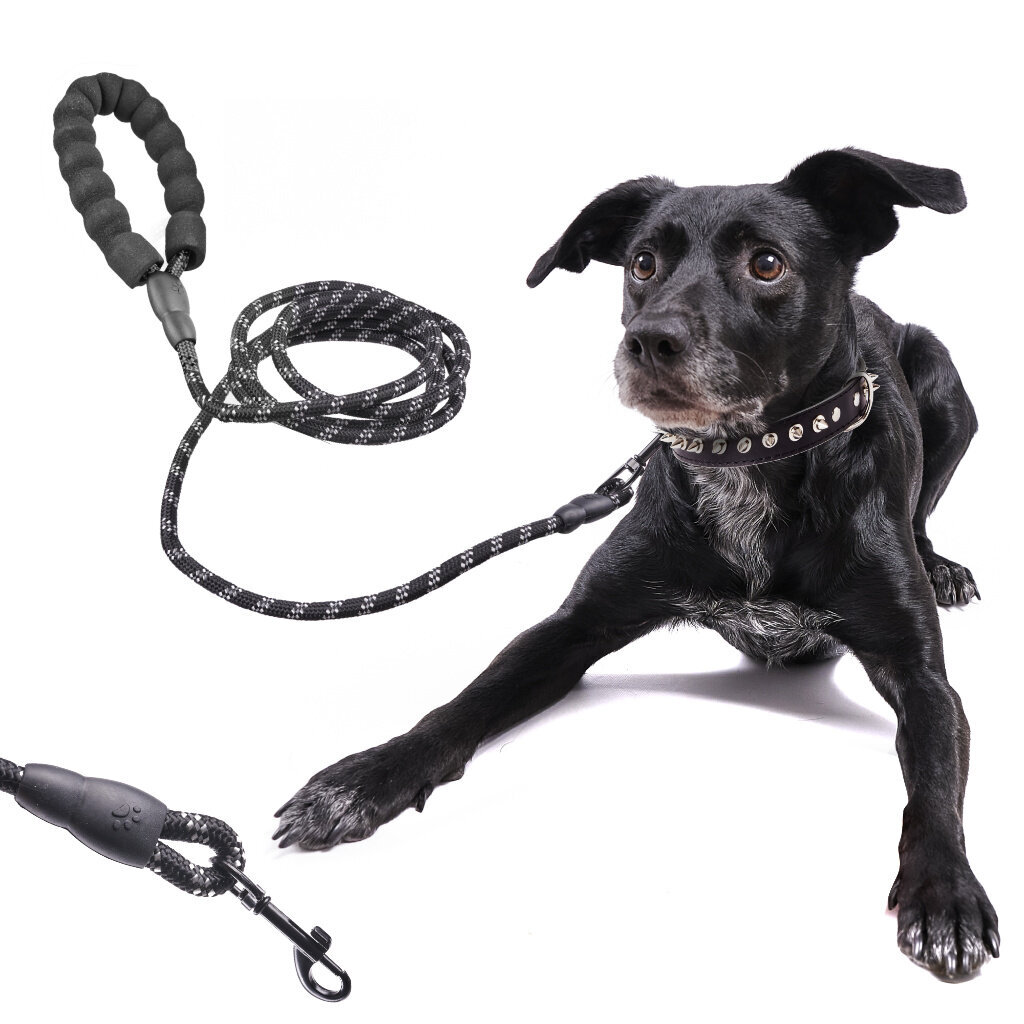 Šuns pavadėlis, atspindintis šviesą, 3 m kaina ir informacija | Antkakliai, petnešos šunims | pigu.lt