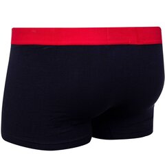 Мужские трусы TOMMY HILFIGER TRUNK, темно-синие UM0UM02178 DW5 40889 цена и информация | Мужские трусы | pigu.lt