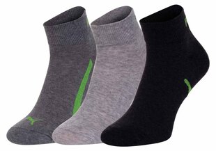 Kojinės unisex Puma, pilkos, 3 poros kaina ir informacija | Vyriškos kojinės | pigu.lt