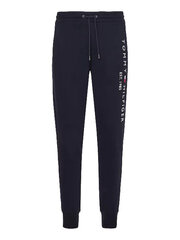 Мужские спортивные штаны Tommy Hilfiger BASIC BRANDED SWEATPANTS, темно-синие MW0MW08388 DW5 41122 цена и информация | Мужские термобрюки, темно-синие, SMA61007 | pigu.lt