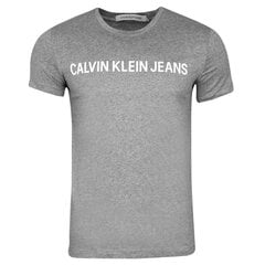 Мужская футболка Calvin Klein CORE INSTITUTIONAL, серая J30J307855 039 42034 цена и информация | Футболка мужская | pigu.lt