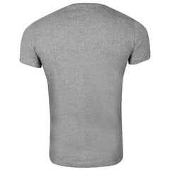 Vyriški marškinėliai Calvin Klein CORE INSTITUTIONAL, pilkos spalvos J30J307855 039 42034 S kaina ir informacija | Vyriški marškinėliai | pigu.lt
