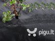 Agroplėvelė nuo piktžolių 1.6x10 m, 70 g/m2, juoda цена и информация | Sodo įrankiai | pigu.lt