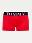 Vyriški trumpikės Tommy Hilfiger 1P TRUNK, raudonos UM0UM02340 XLG 42407 L kaina ir informacija | Trumpikės | pigu.lt