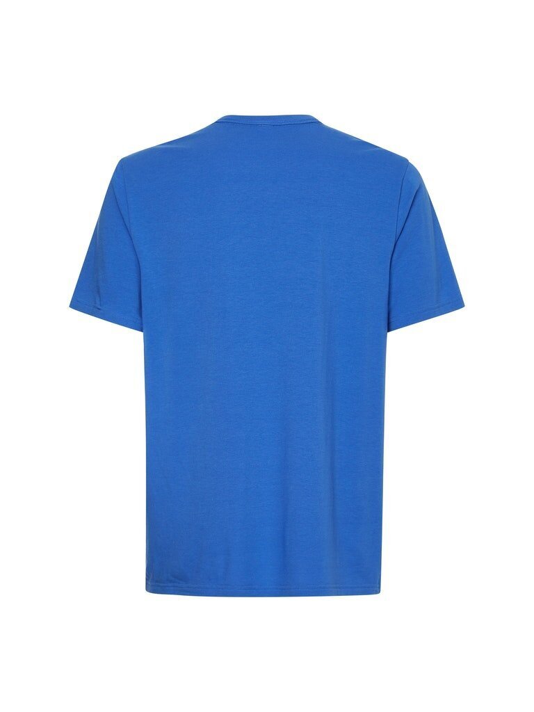 Vyriški marškinėliai CALVIN KLEIN S/S CREW NECK, mėlyni, 000NM2170E C6M 42833 kaina ir informacija | Vyriški marškinėliai | pigu.lt