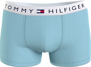 Мужские трусы-боксеры Tommy Hilfiger 1 PAK MINT UM0UM01646 CS2 43410 цена и информация | Мужские трусы | pigu.lt