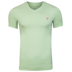 Мужская футболка Guess T-SHIRT VN SS CORE TEE GREEN M1RI32J1311 A80G 43614 цена и информация | Футболка мужская | pigu.lt