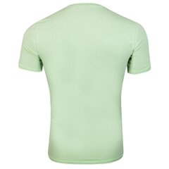 Vyriški marškinėliai Guess T-SHIRT VN SS CORE TEE GREEN M1RI32J1311 A80G 43614 kaina ir informacija | Vyriški marškinėliai | pigu.lt