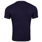 Vyriški marškinėliai Guess T-SHIRT RUSTY CN SS TEE NAVY M2GI08J1311 G7V2 43642 kaina ir informacija | Vyriški marškinėliai | pigu.lt