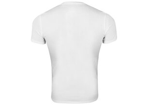 Мужская футболка Guess T-SHIRT VN SS CORE TEE WHITE M1RI32J1311 G011 43619 цена и информация | Футболка мужская | pigu.lt