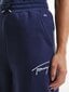 Moteriškos sportinės kelnės Tommy Hilfiger TJW TOMMY SIGNATURE SWEATPANT, tamsiai mėlynos DW0DW11886 C87 44885 kaina ir informacija | Sportinė apranga moterims | pigu.lt