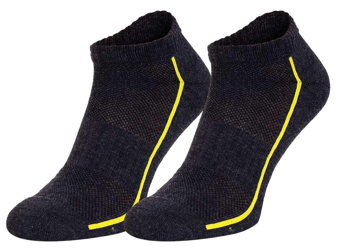 Vyriškos kojinės HEAD SOCKS PERFORMANCE SNEAKER, 2 poros, pilkos 791018001 009 44679 цена и информация | Vyriškos kojinės | pigu.lt