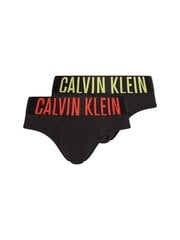 Мужские трусы Calvin Klein SLIPY HIP BRIEF 2 пары, черные 000NB2601A W3M 44994 цена и информация | Мужские трусы | pigu.lt