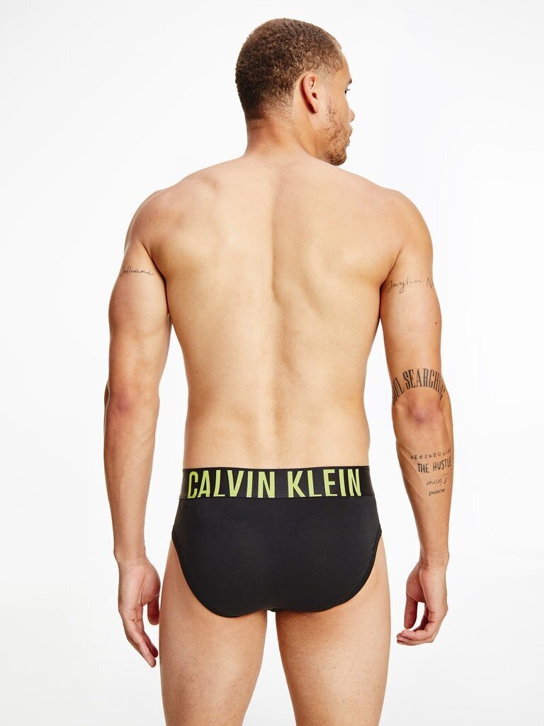 Vyriški trumpikės Calvin Klein SLIPY HIP BRIEF 2 poros, juodos 000NB2601A W3M 44994 XL kaina ir informacija | Trumpikės | pigu.lt