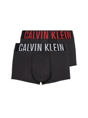 Vyriški trumpikės Calvin Klein 2 poros LOW RISE TRUNK, juodos 000NB2599A X2M 44998 XL kaina ir informacija | Trumpikės | pigu.lt