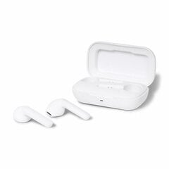 Brainz Earbuds kaina ir informacija | Ausinės | pigu.lt