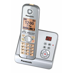 Panasonic KX-TG6721GS, серебристый цена и информация | Стационарные телефоны | pigu.lt
