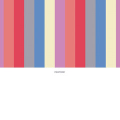 Pantone lovatiesė Stripes, 250 x 260 cm kaina ir informacija | Lovatiesės ir pledai | pigu.lt