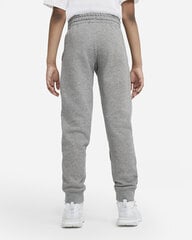 Детские брюки Nike B Nsw Club Ft Jogger Pant Grey DA0864 091 DA0864 091/M цена и информация | Штаны для мальчиков | pigu.lt