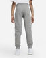 Kelnės vaikams Nike B Nsw Club Ft Jogger Pant DA0864 091 цена и информация | Kelnės berniukams | pigu.lt